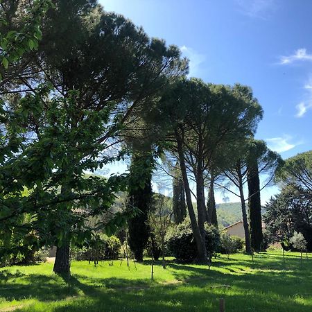 Gite Des Pins Saint-Maurice-d'Ibie Luaran gambar