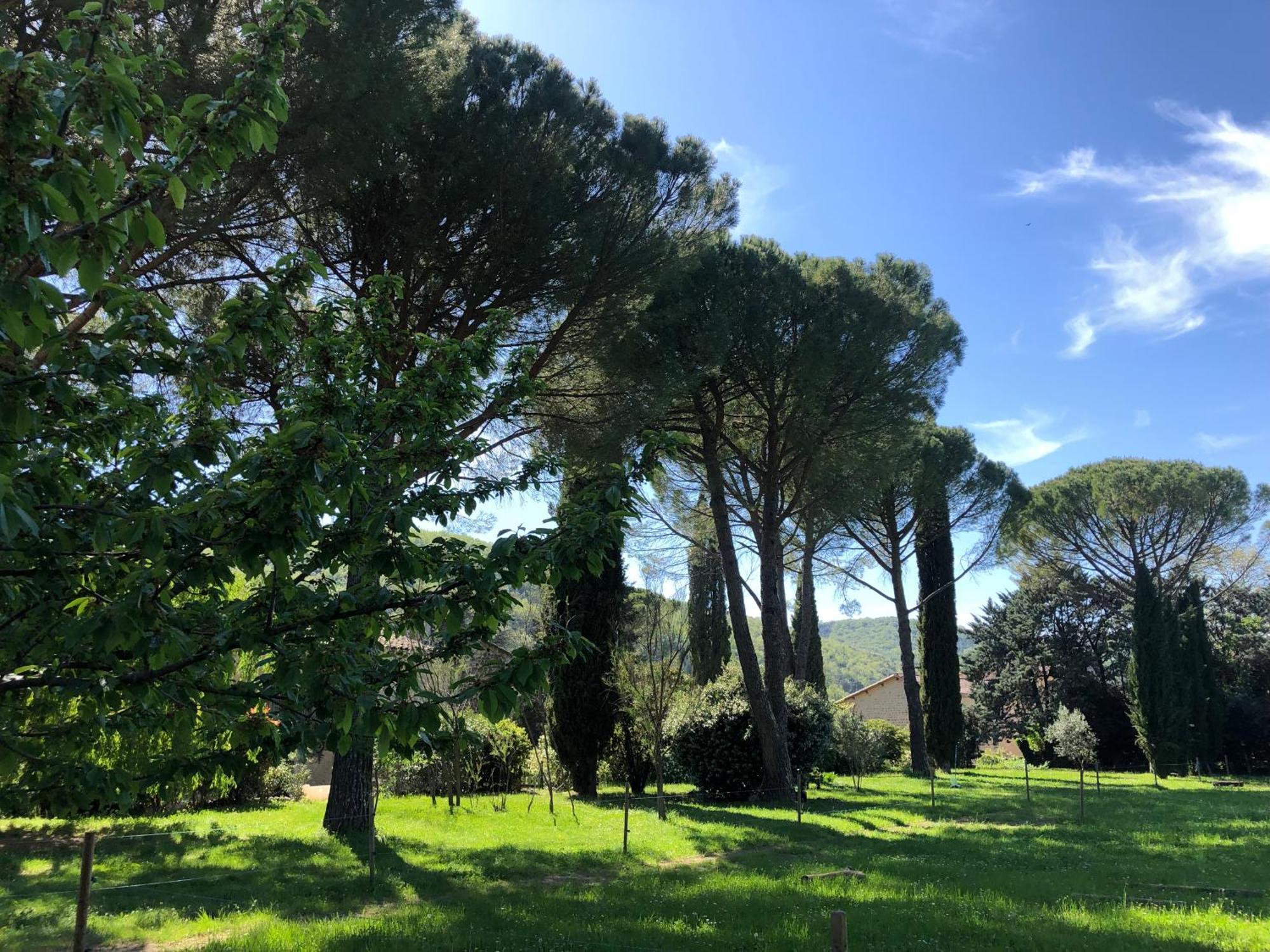 Gite Des Pins Saint-Maurice-d'Ibie Luaran gambar