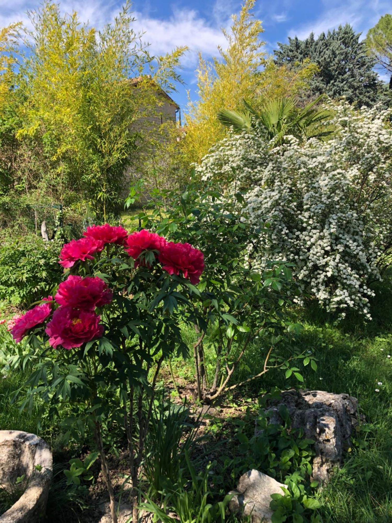 Gite Des Pins Saint-Maurice-d'Ibie Luaran gambar